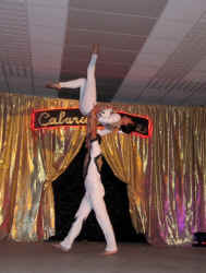 danse acrobates 2.jpg (156521 octets)